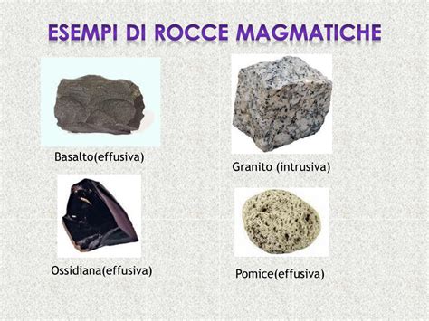Esempi di diverse tipologie di rocce: granito, basalto, arenaria con fossile