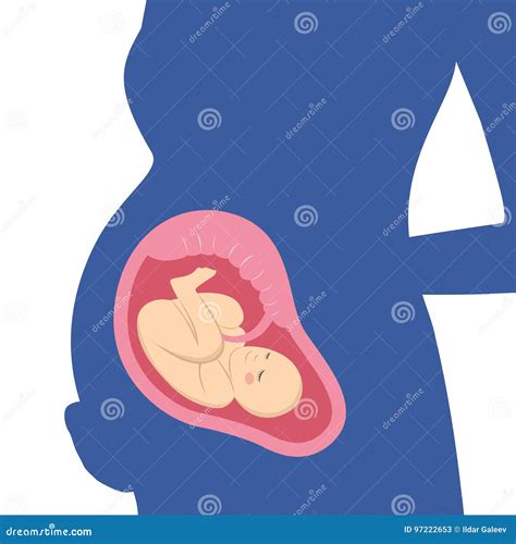 Scheletro di donna incinta con feto in posizione post-mortem