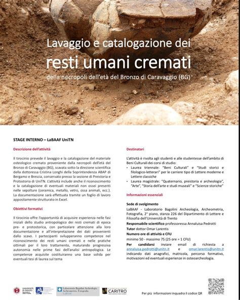 Resti di ceramica e ossa animali da scavi archeologici