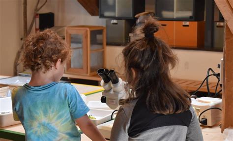 Bambini che utilizzano microfoni e cuffie in un laboratorio radiofonico