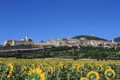 Panorama di Assisi da una collina