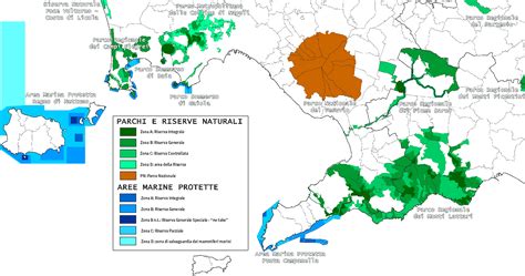 mappa concettuale delle zone boschive e aree protette
