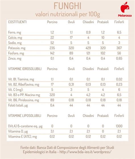 infografica sui valori nutrizionali dei funghi edibili