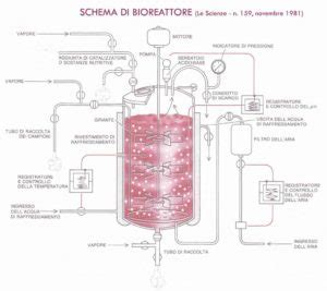 rappresentazione schematica di un bioreattore per la coltura cellulare