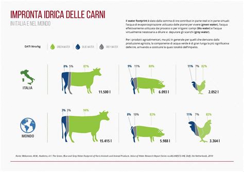infografica che confronta l'impronta idrica tra carne convenzionale e carne coltivata