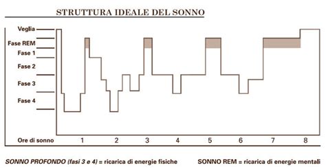 grafico che mostra l'aumento graduale delle ore di sonno notturno nei primi 12 mesi