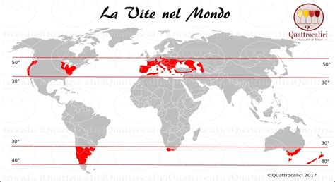 Mappa delle zone di coltivazione dell'avocado nel Mediterraneo