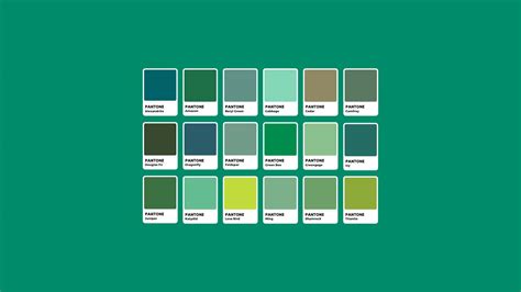 Variazioni di colore dell'ematoma nel tempo