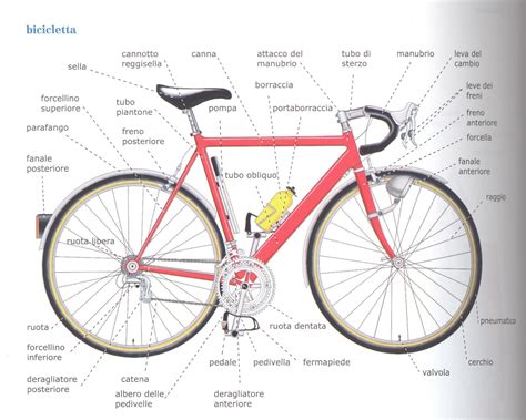 dettaglio del telaio di una bicicletta Woom con leva freno colorata