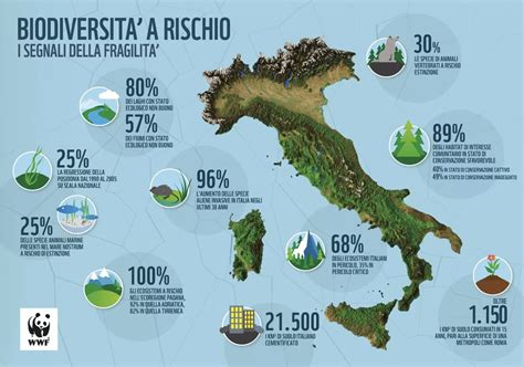 Grafico che illustra le diverse aree di intervento della logopedia