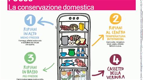 Infografica esplicativa sulla conservazione degli alimenti e sulle normative ASL vigenti