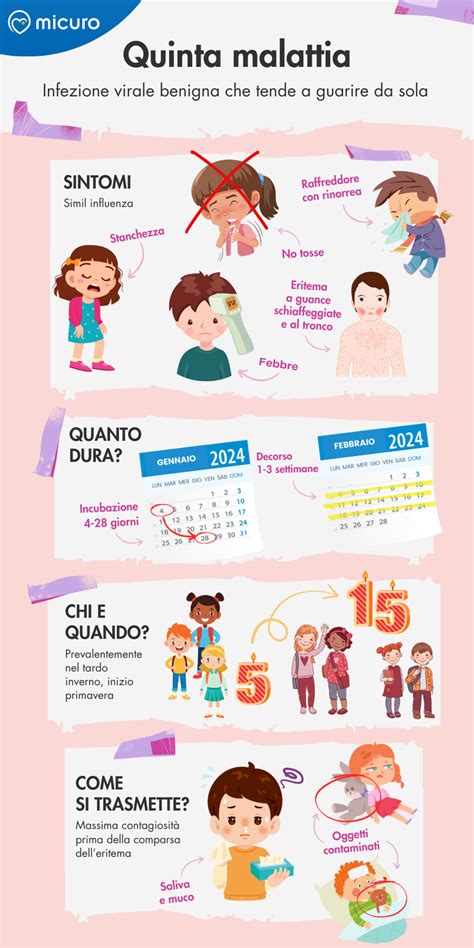 Diagramma della progressione dei sintomi della Quinta Malattia, dall'esantema facciale a quello corporeo