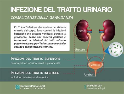 infografica infezioni urinarie e conformazione femminile