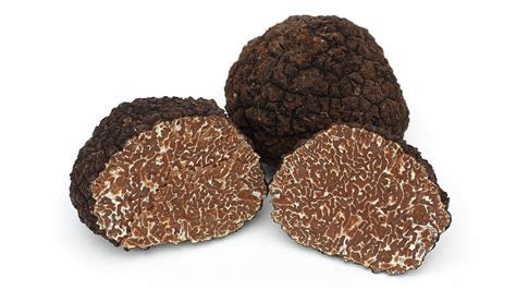 Dettaglio macroscopico della gleba del tartufo nero pregiato