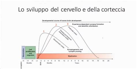 Grafico sui benefici dei videogiochi educativi per lo sviluppo dei bambini