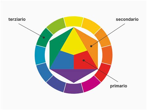 Un'immagine che mostra la teoria dei colori o una ruota cromatica
