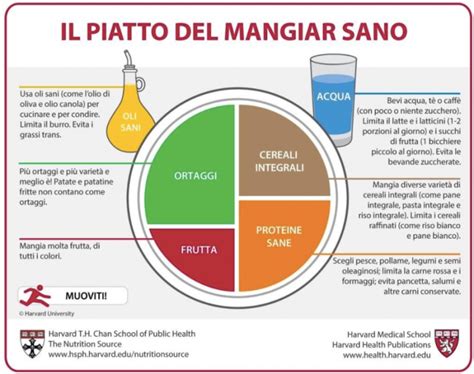 Schema del Piatto del mangiare sano di Harvard