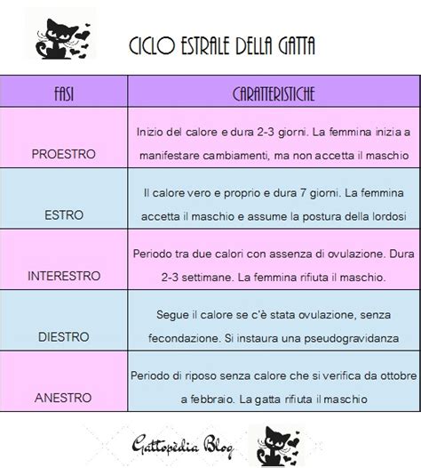 ciclo estrale del gatto e ovulazione indotta