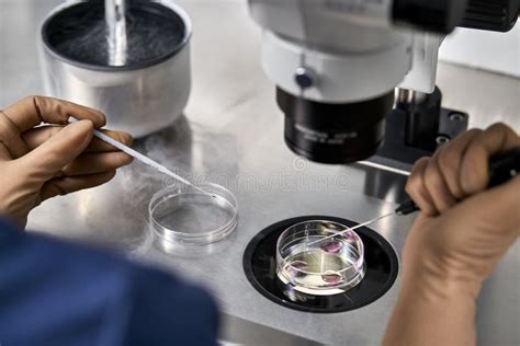 laboratorio di fecondazione in vitro