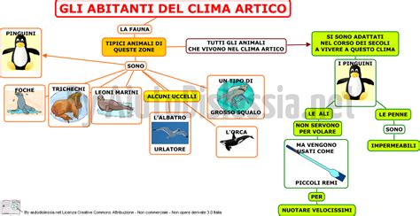 rappresentazione concettuale della sicurezza in ambienti acquatici