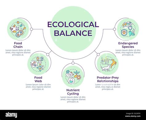 Diagram of vaginal ecosystem balance