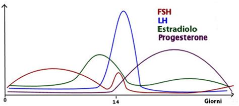 Grafico che mostra l'andamento degli ormoni LH ed Estrogeni durante il ciclo