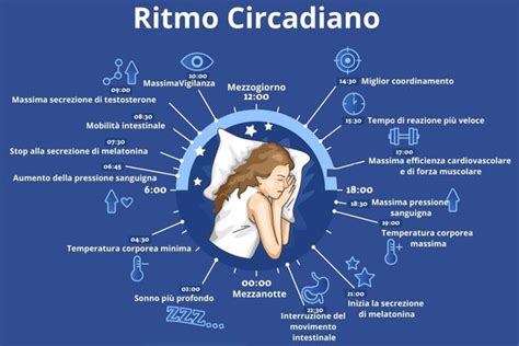 Schema del ciclo sonno-veglia e ruolo della melatonina