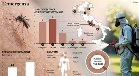 Infografica descrittiva dei principali sintomi del West Nile Virus