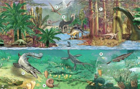 rappresentazione artistica di un ecosistema del Mesozoico con diversi dinosauri