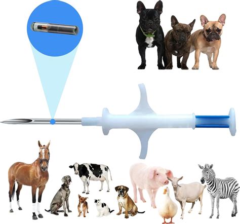 Cane con Pedigree e microchip