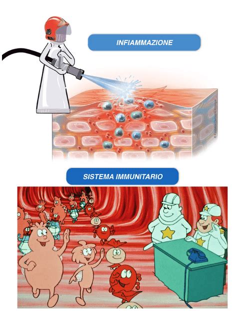Immagine di farmaci immunosoppressori e corticosteroidi