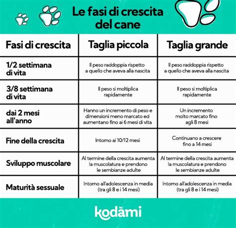 Tavola di crescita e sviluppo del cucciolo