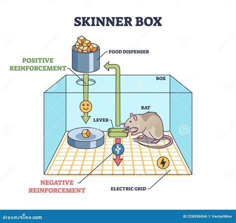 Schema della Skinner box e il meccanismo del rinforzo positivo