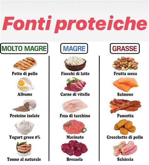 Cibi ricchi di proteine e vitamine per pappagalli in riproduzione