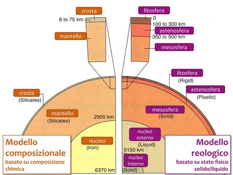 Struttura interna della vagina