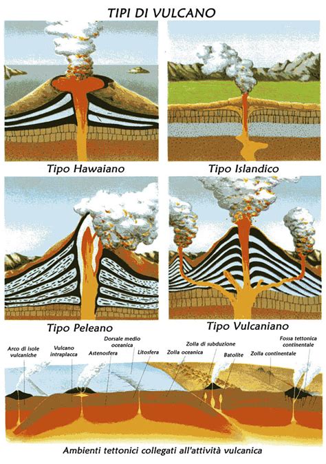 illustrazione scientifica delle principali tipologie di eruzioni cutanee infantili