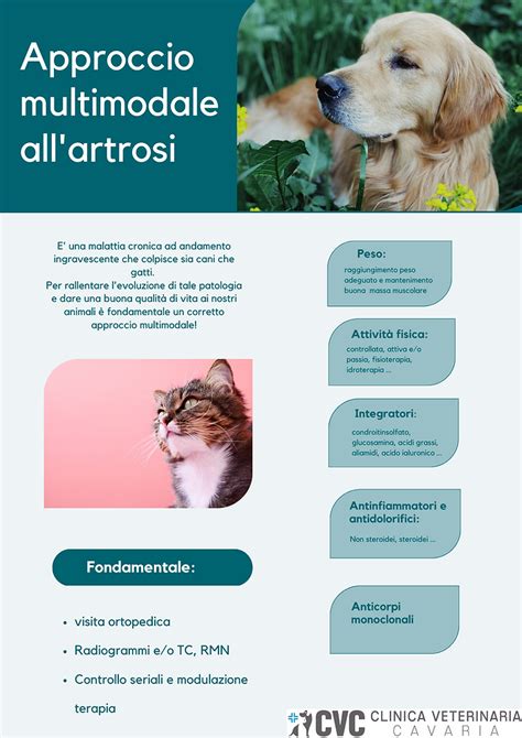 Immagine che rappresenta diverse opzioni terapeutiche (pillole, chirurgia)