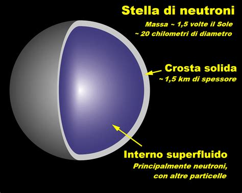 rappresentazione della struttura