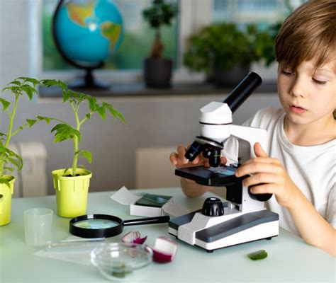 Bambini con microscopio