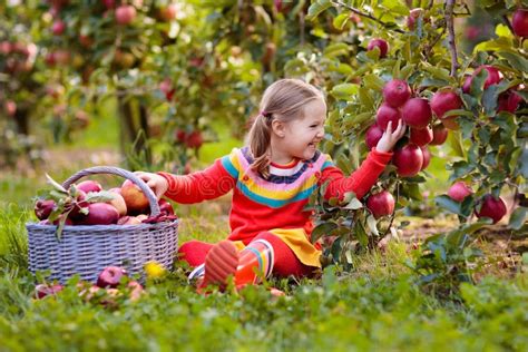 Bambini che raccolgono frutta in un orto