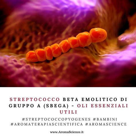 rappresentazione microscopica dello streptococco beta-emolitico di gruppo A