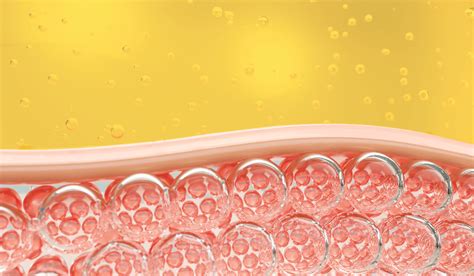 diagramma che mostra l'azione dell'acido ialuronico sulla mucosa vaginale