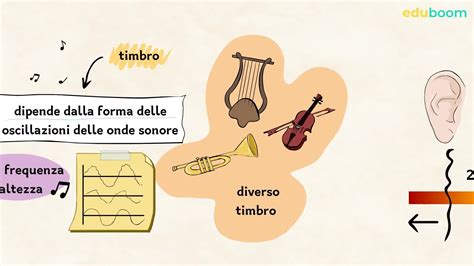 Schema: Connessione tra suoni intrauterini e rumore bianco
