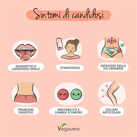 Diagramma del ciclo di infezione da Candida