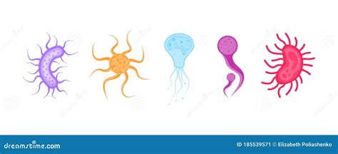 illustrazione schematica dell'ecosistema vaginale e dell'equilibrio microbico