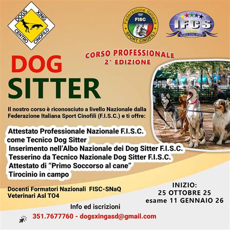 infografica che illustra il percorso burocratico per la richiesta di ausili per incontinenza presso il SSN