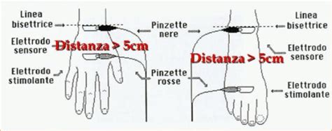 rappresentazione grafica del funzionamento della BIA con elettrodi