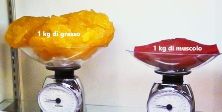 infografica che mostra la differenza tra massa grassa e massa muscolare