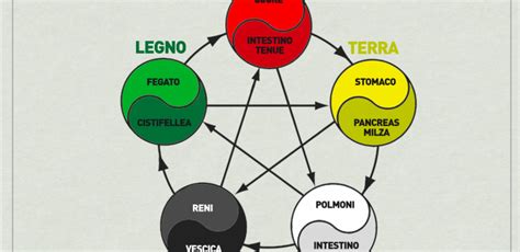Schema che illustra le 5 trasformazioni della culla EQUO
