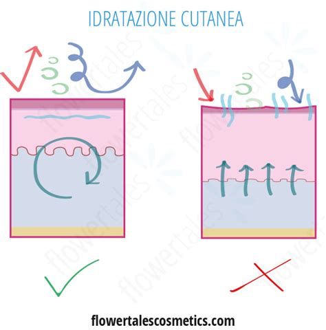 schema del ciclo di idratazione cutanea post-parto